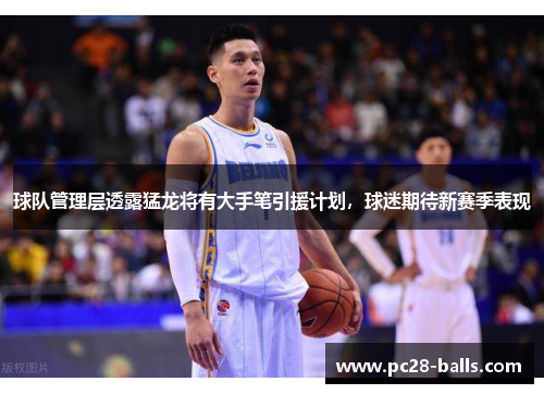球队管理层透露猛龙将有大手笔引援计划，球迷期待新赛季表现